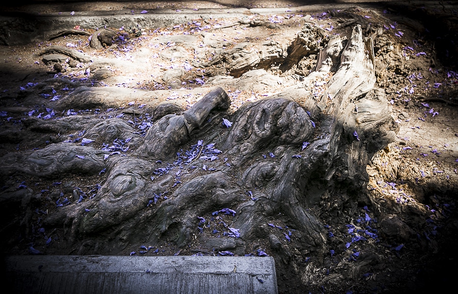 ariartevisual's tweet photo. ¿No saben cómo comenzar sus vacaciones? ¡Visiten nuestra exposición virtual! Cada día una propuesta distinta.🤩 https://t.co/bMiTB85tnF