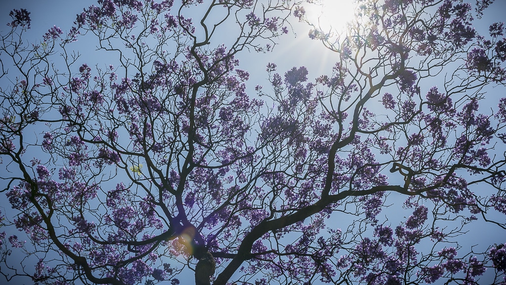 ariartevisual's tweet photo. ¿No saben cómo comenzar sus vacaciones? ¡Visiten nuestra exposición virtual! Cada día una propuesta distinta.🤩 https://t.co/bMiTB85tnF