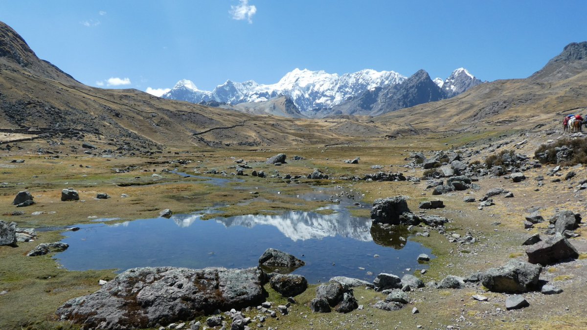cooper_kerry's tweet photo. #virtualPeru day 8, after a cold night I woke to a beautiful clear day. We packed up camp and took a stunning walk to the next camp. Another beautiful, quiet camp, this time 4800m, we would have 2 nights here, the regular pattern of a cold hail storm by dinner time. https://t.co/6WJAorWlqH