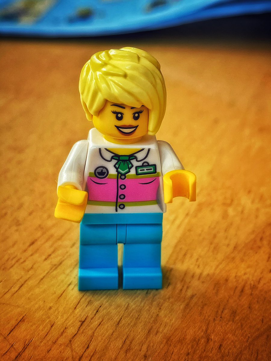 Skifte tøj Andragende labyrint M. Carrie Allan on Twitter: "Lego Karen wants to speak to the manager.  https://t.co/p8zN0K2HX9" / X