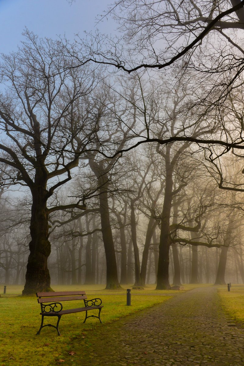 College of Europe in Natolin tweet media