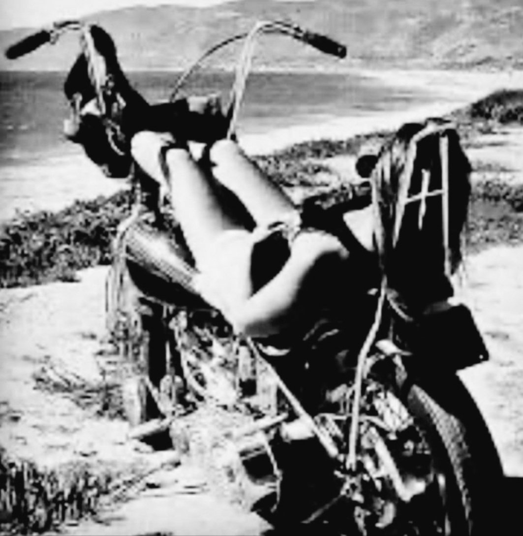 Rockbitesuk tweet media