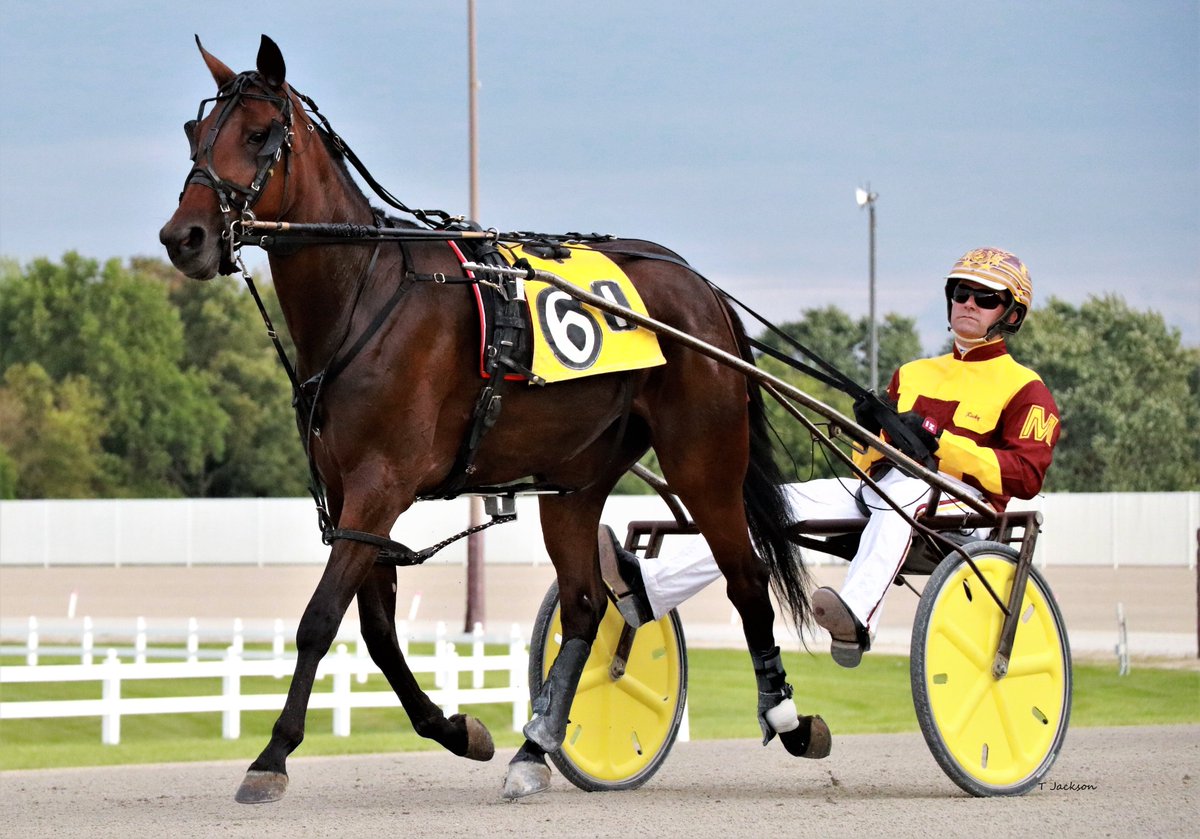 hoosiernations's tweet photo. Good Morning @MacomberJr @triplemracing @JFoxStable @Chris_wponies @JoannKi32885615 @rebelsart @jtlburn @kimberlymoier @GlenPeckinpaugh @KathleenBaitzel @elliotgordon2 @SadandSulk @dolenski_john @vnssa926 @INStandardbred @HoP_Racing #KindaCoolLady #RickyMacomber https://t.co/Oq0zUV6Bki