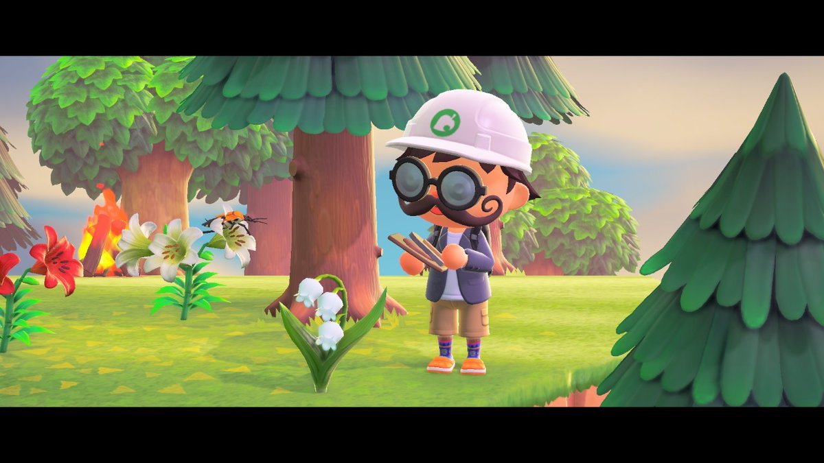 TheSwimFather's tweet photo. Living the dream. #covid #5star #AnimalCrossing #ACNH #NintendoSwitch https://t.co/ctG788Bv7f
