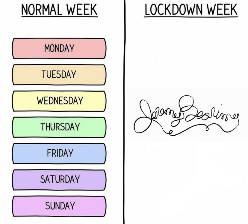 daniel_forsha's tweet image. ⁦Any ⁦⁦@TheGoodPlaceNBC⁩ peeps out there? 
#HumorWithHeart