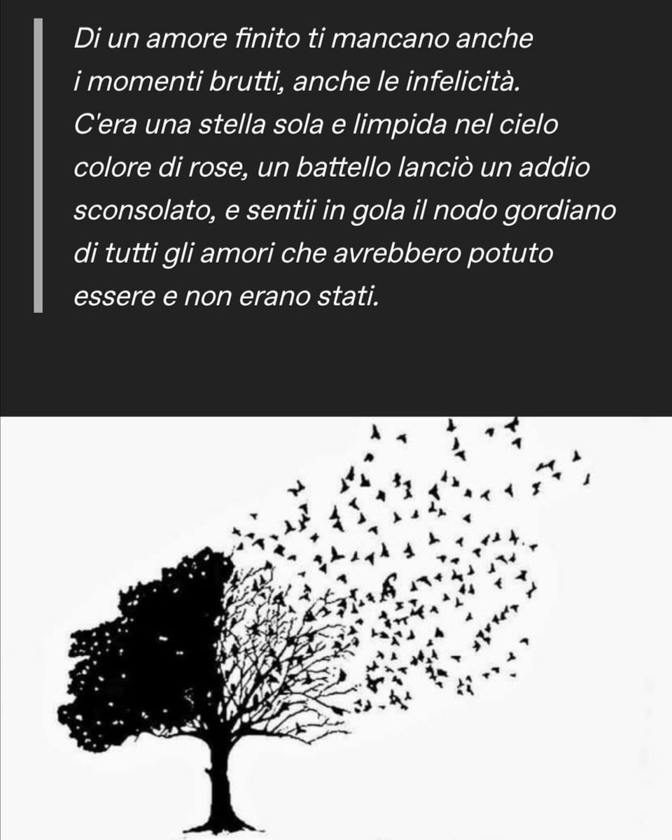 Pensavo Fosse Amore Pensavoa Twitter