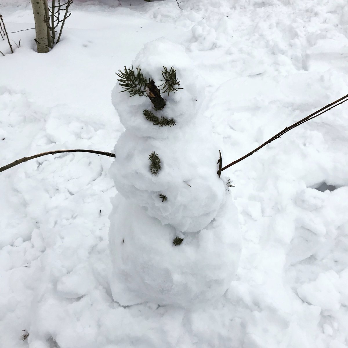 inkittweet's tweet photo. No two snowmen are alike!
Let’s see your best snowman or snow fort!
#mystory2020

#Yellowknife #NWT #physicaldistance #SocialDistanacing #COVID19 https://t.co/XLMqcli3jw