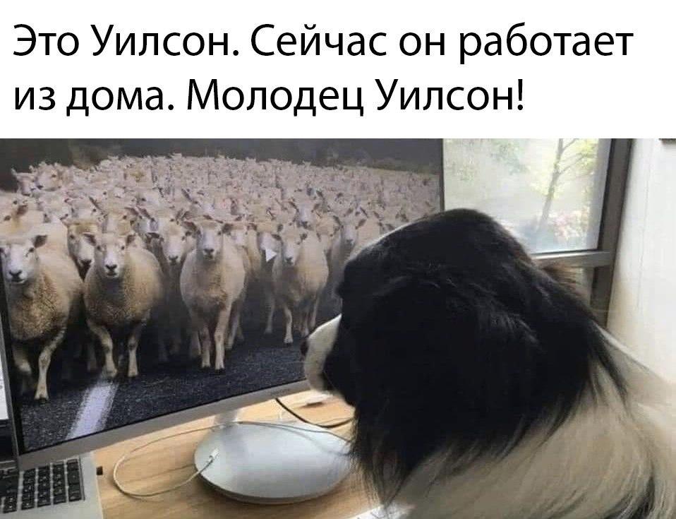 Минздрав будет предлагать открыть с ограничениями парки, музеи и библиотеки, - Степанов - Цензор.НЕТ 7509