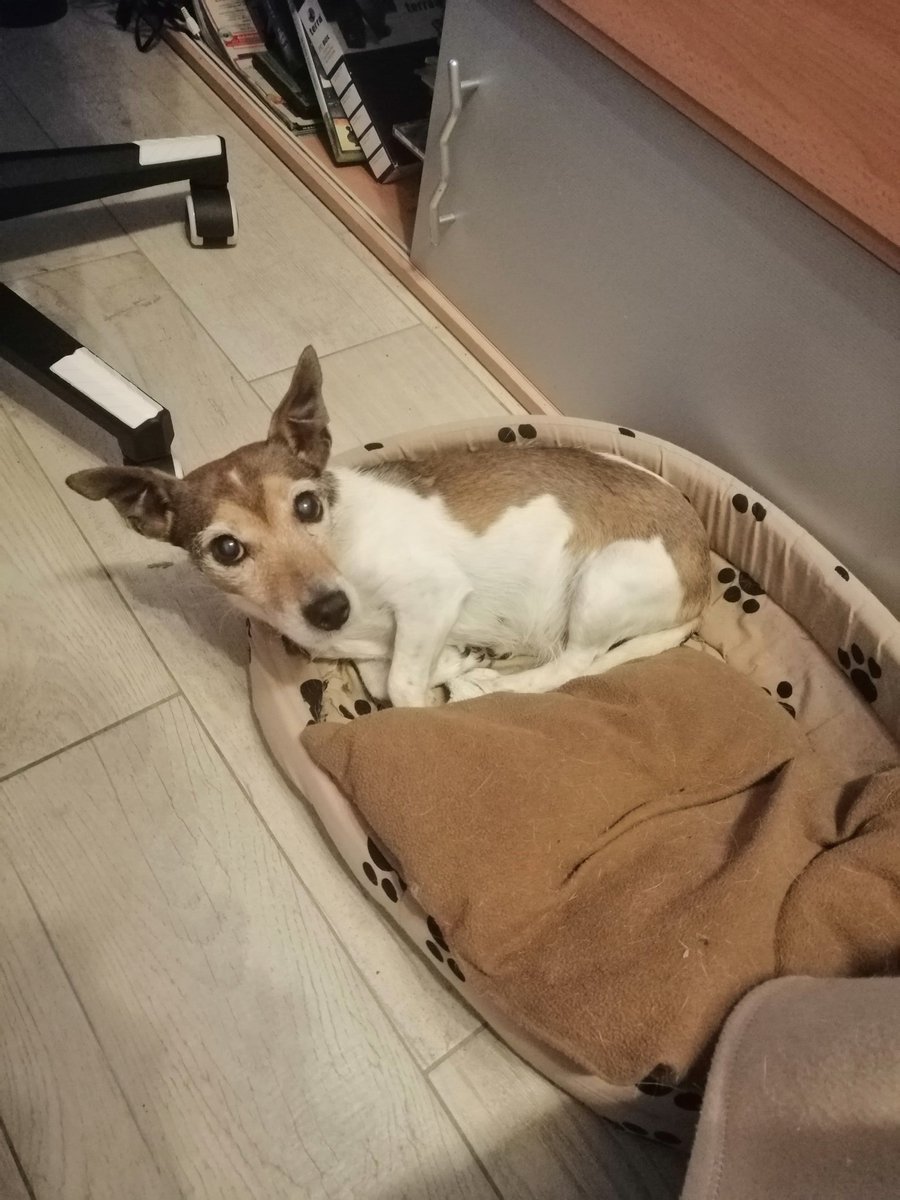 Mach's gut Mausezahn.. 💔