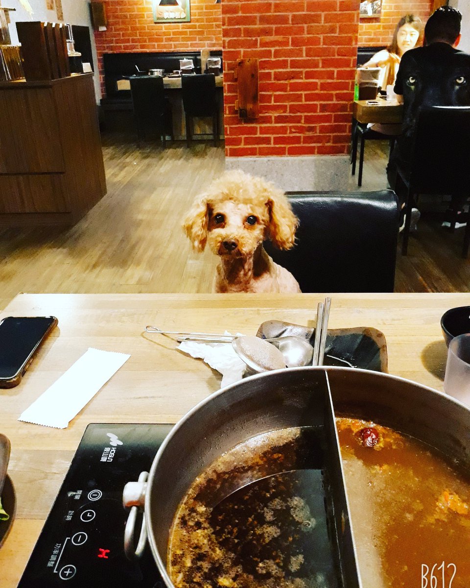 5201234Love's tweet photo. 帶布魯托來吃飯😋 https://t.co/SS97vYtH9f