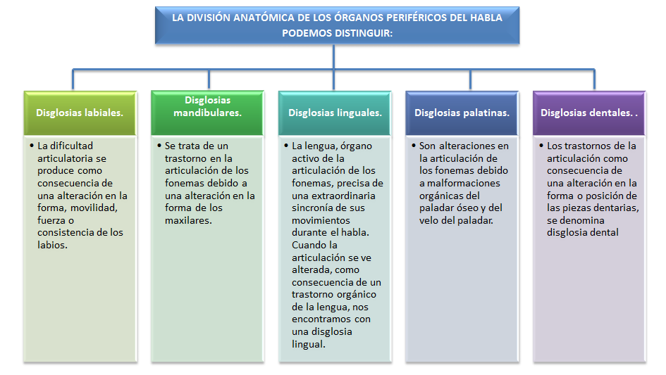 Maheres_uv's tweet photo. Clasificación de #disglosias según la alteración anatómica o fisiológica de los órganos periféricos del habla #uv_rtl20 : https://t.co/zB30E1aO8g