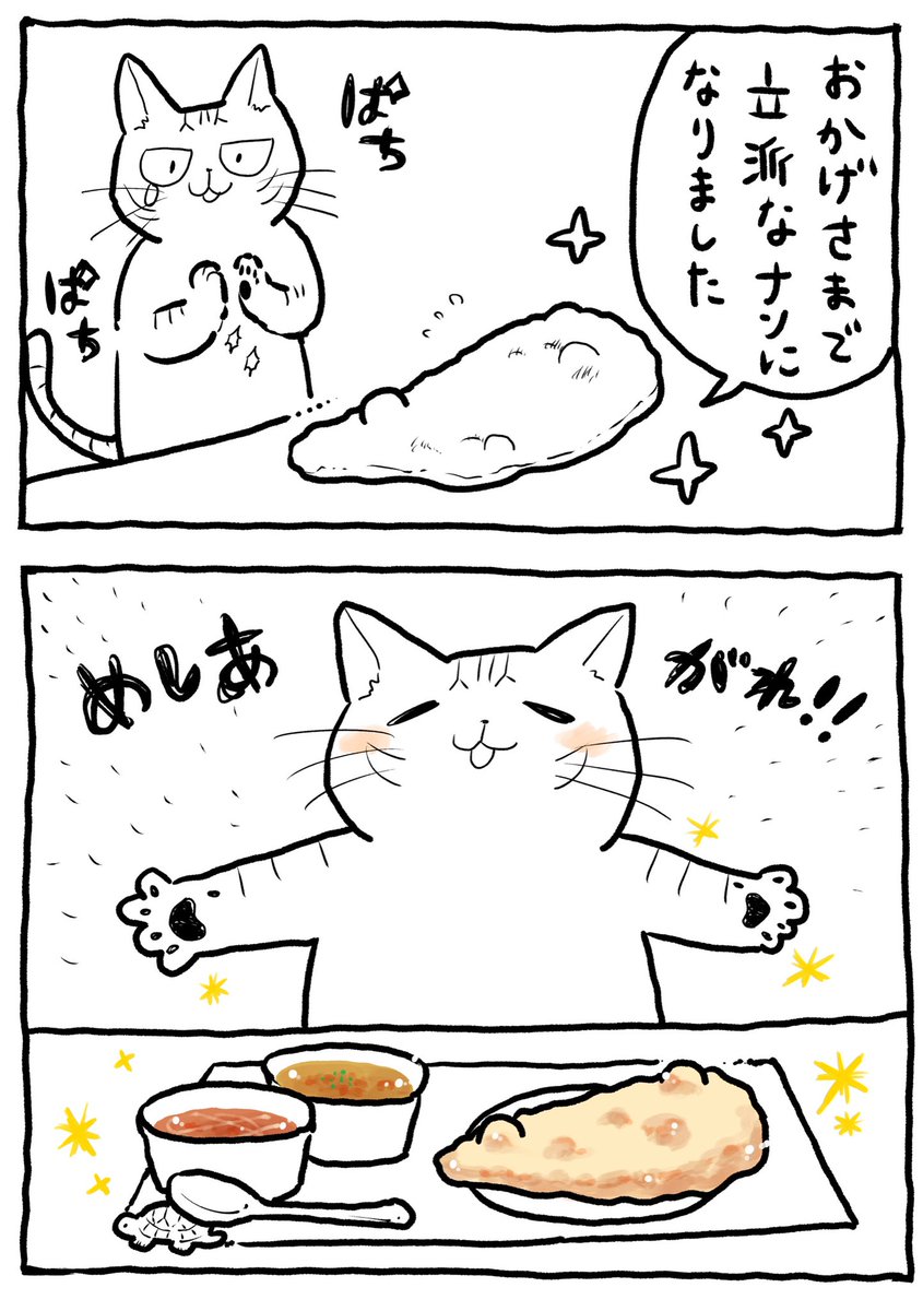 ナンの赤ちゃんを育てる猫ちゃん 
