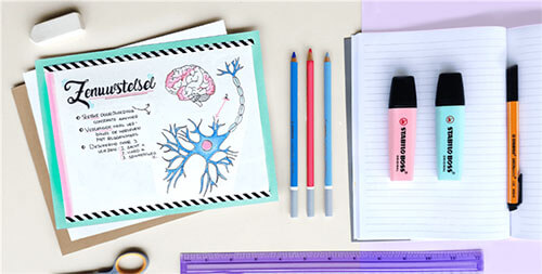 Na de paasvakantie starten heel wat scholen met nieuwe leerstof aan te bieden. Hoe ga jij om met het studeren van nieuw lesmateriaal? 👩‍🏫 Lees meer over  #flashcards en hoe studeren met flashcards, nieuw op onze blog via pandava.com/nl/blog/2020-0…

#pandava #allesvoorschoolenkantoor