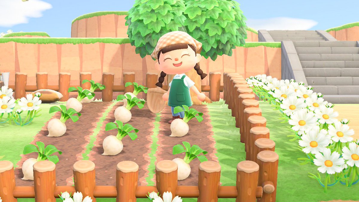 TrickBlueFlower 🌸 on Twitter "Guys I'm so proud of my turnip farm 😭💖 