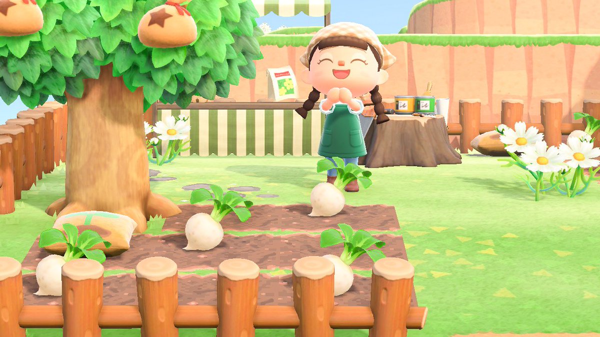 TrickBlueFlower 🌸 on Twitter "Guys I'm so proud of my turnip farm 😭💖 