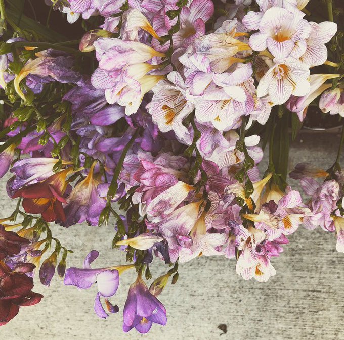 フリージアのtwitterイラスト検索結果 古い順