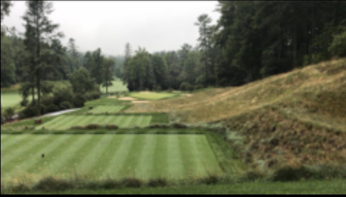 Carolinas_ASST's tweet photo. Assistant Profile: Jordon Bowling 🚨 

@Bowling_Jordon 

Everyone say hello to Jordon. A Wayne CC graduate 🎓, he is currently Assistant Superintendent at Biltmore Forest Country Club. Before that he worked 3 years as an assistant at Wade Hampton Golf Club. https://t.co/cDhKbTbVjg