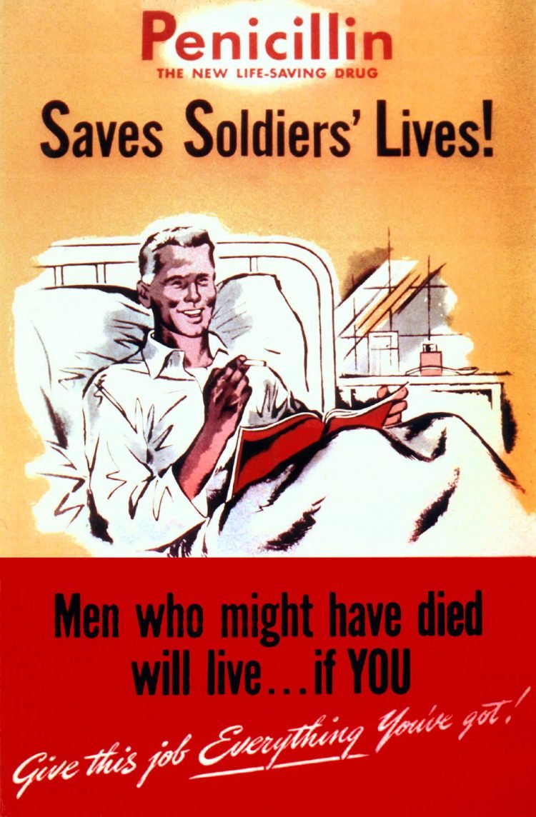 This also included a search to Penicillium strains that produced a high yield of a highly effective antibiotic - the best candidate found is now known as Penicillium chrysogenum, and the drug it produced was called penicillin. It began wide scale use as a medicine in 1942.