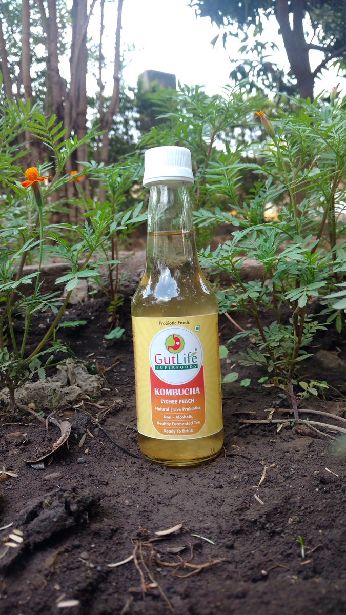 GutLifeWorld's tweet photo. Lychee Peach:
Awesome #Fruity Taste with #Infusion of Green Tea and Black Tea Kombucha Makes it #Unique and Nourishing #Beverage with Live Probiotics and Culture to Please and #Nourish You.

#newlaunch #newflavor #kombucha #fruitflavor #Newintown #kombuchainIndia #uniqueflavor https://t.co/rnMGlvNVfD