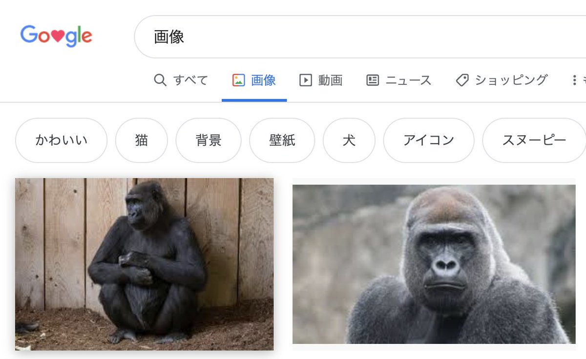 ট ইট র Branch 個人アプリ開発者 画像 で画像検索するとゴリラが先頭に連続で出てくるのって インターネッツを利用している大多数が ゴリラだからっていう証拠だよね