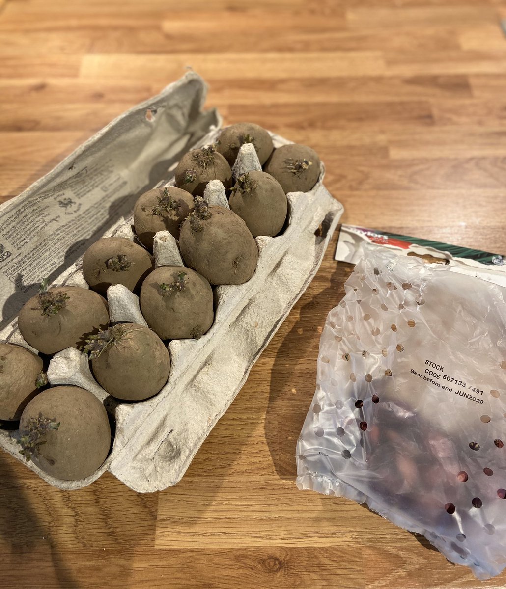 CassieKing's tweet photo. Hi ho, hi ho. It’s off a planting I go. Maris Piper main crop and red onions about to go in the ground at the allotment. #growyourown #allotment #allotmentlife #gardening #fieldtofork #potatoes #marispiper #maincrop #redonions #growyourownfood https://t.co/GysJkPUrQQ
