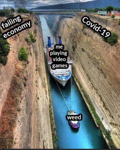 ShawnIsFear's tweet photo. It’s true. Keep me sane little plant!
•⠀
•⠀
#FYFCStudios #meme #memes #funny #memesdaily #dankmemes #funnymemes #dank #follow #humor #lmao #dankmeme #edgymemes #comedy #dailymemes #offensivememes #funnymeme #cringe https://t.co/D2YvAzLgY8
