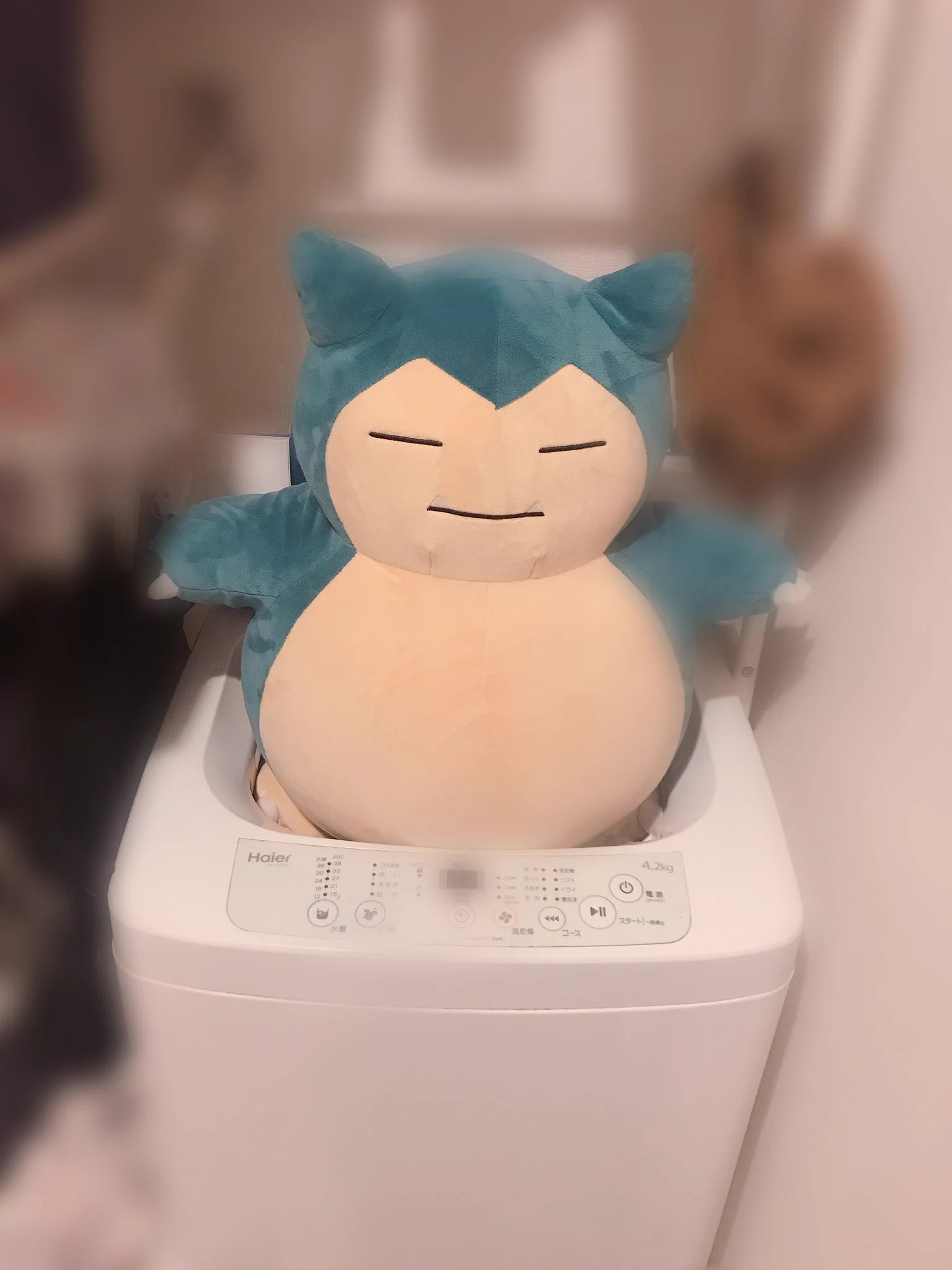 @chihokesta @UVER_LiSA_0929 根本的に洗濯機が小さいのにカビゴンがデカい… 