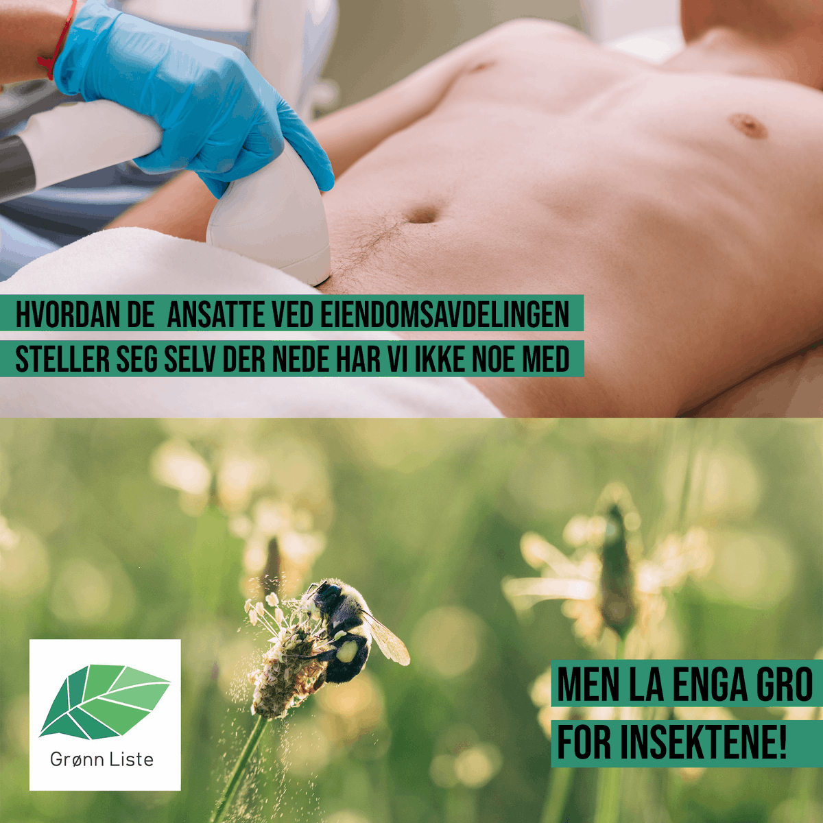 gronnliste's tweet photo. Stem grønt! @sveinstlen https://t.co/ewVKPnEcxM