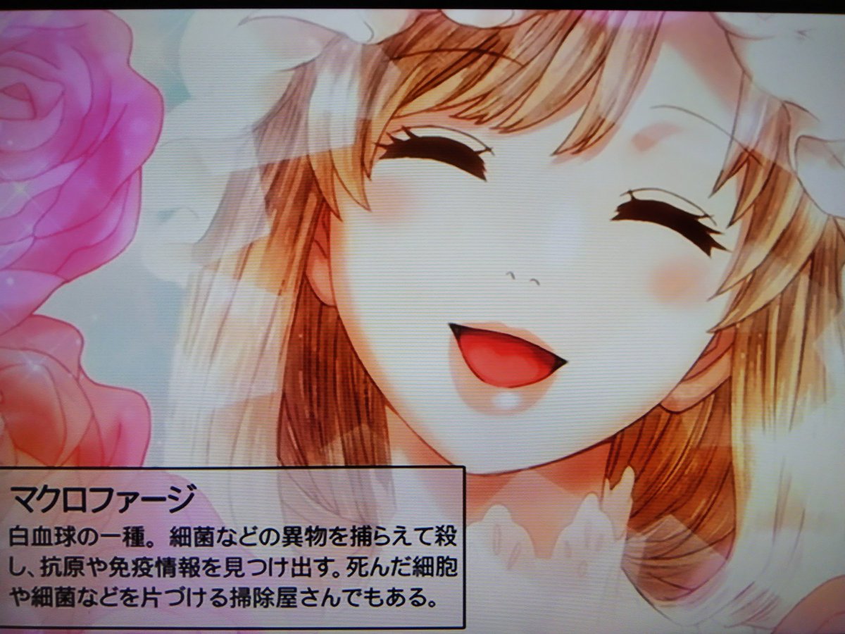 マクロファージさん専用 マクロファージさん - Search / X