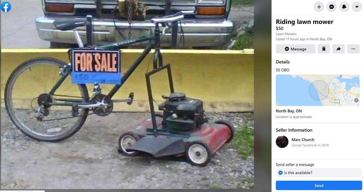 Timmy Joe tweet media