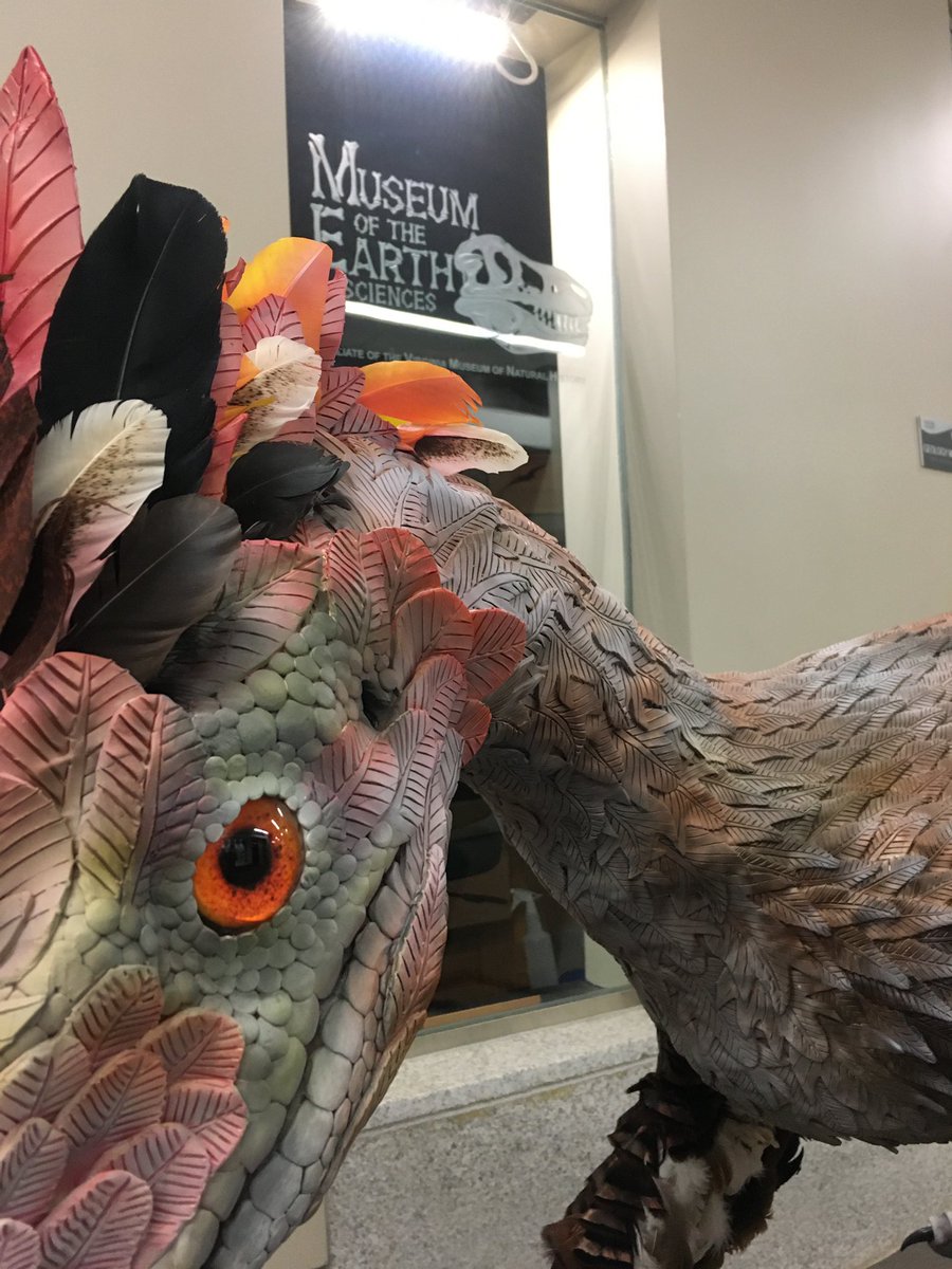 RU Artis College tweet media