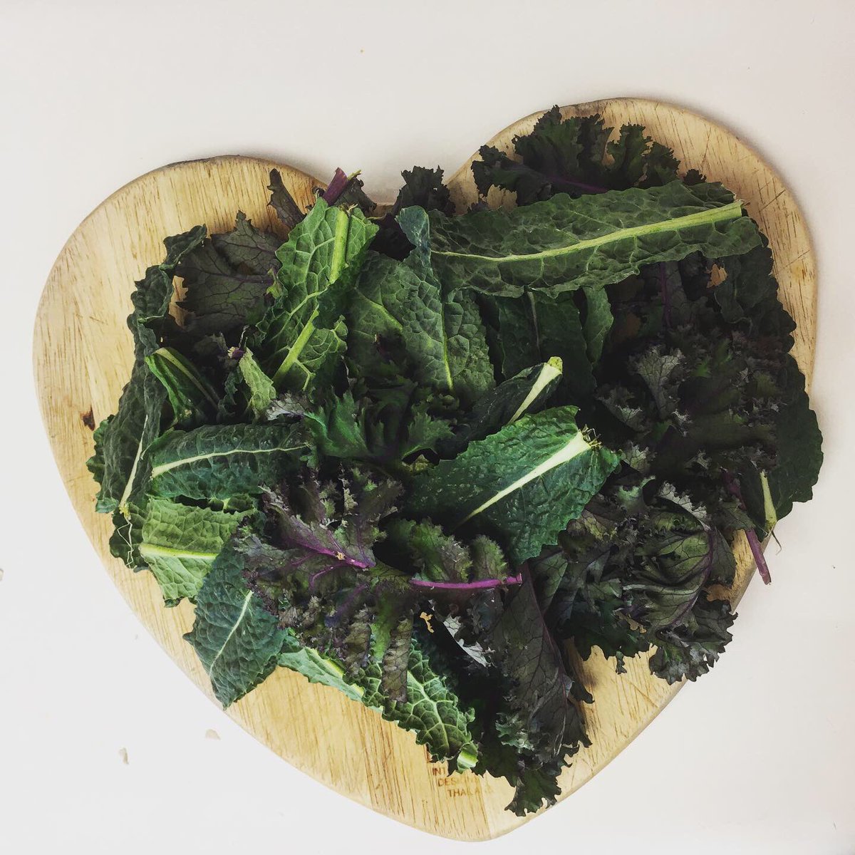 CindyMajane's tweet photo. Delicious blue pearl mushrooms and baby kale from Thanksgiving Farms. #recipefromthanksgivingfarms #mushrooms #kale #easyrecipes https://t.co/ROv67vS0z0