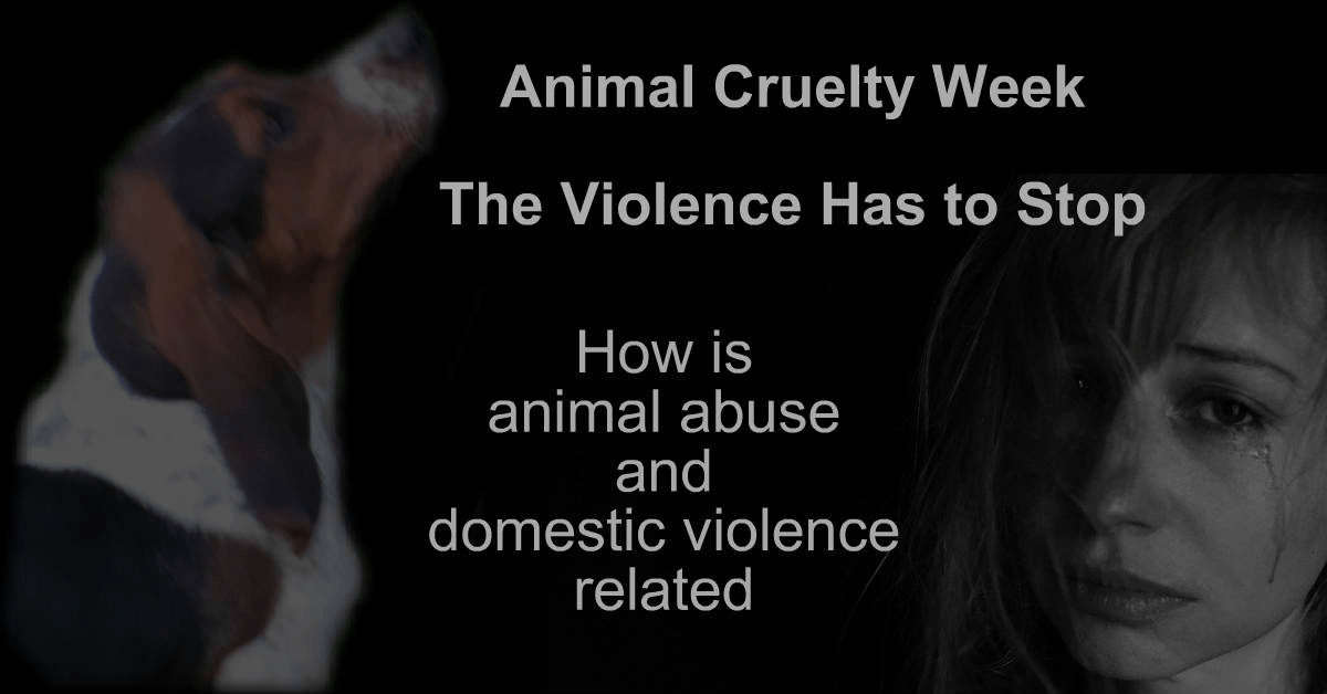 DenaBriley's tweet photo. APRIL 19TH – 25TH ANIMAL CRUELTY WEEK – HOW IS ANIMAL ABUSE AND DOMESTIC VIOLENCE RELATED. Find out more about ths #dogholiday and even more #holidayfordogs in April => 👊 😡 https://t.co/85ptz2mxrL https://t.co/du04qMA1tq