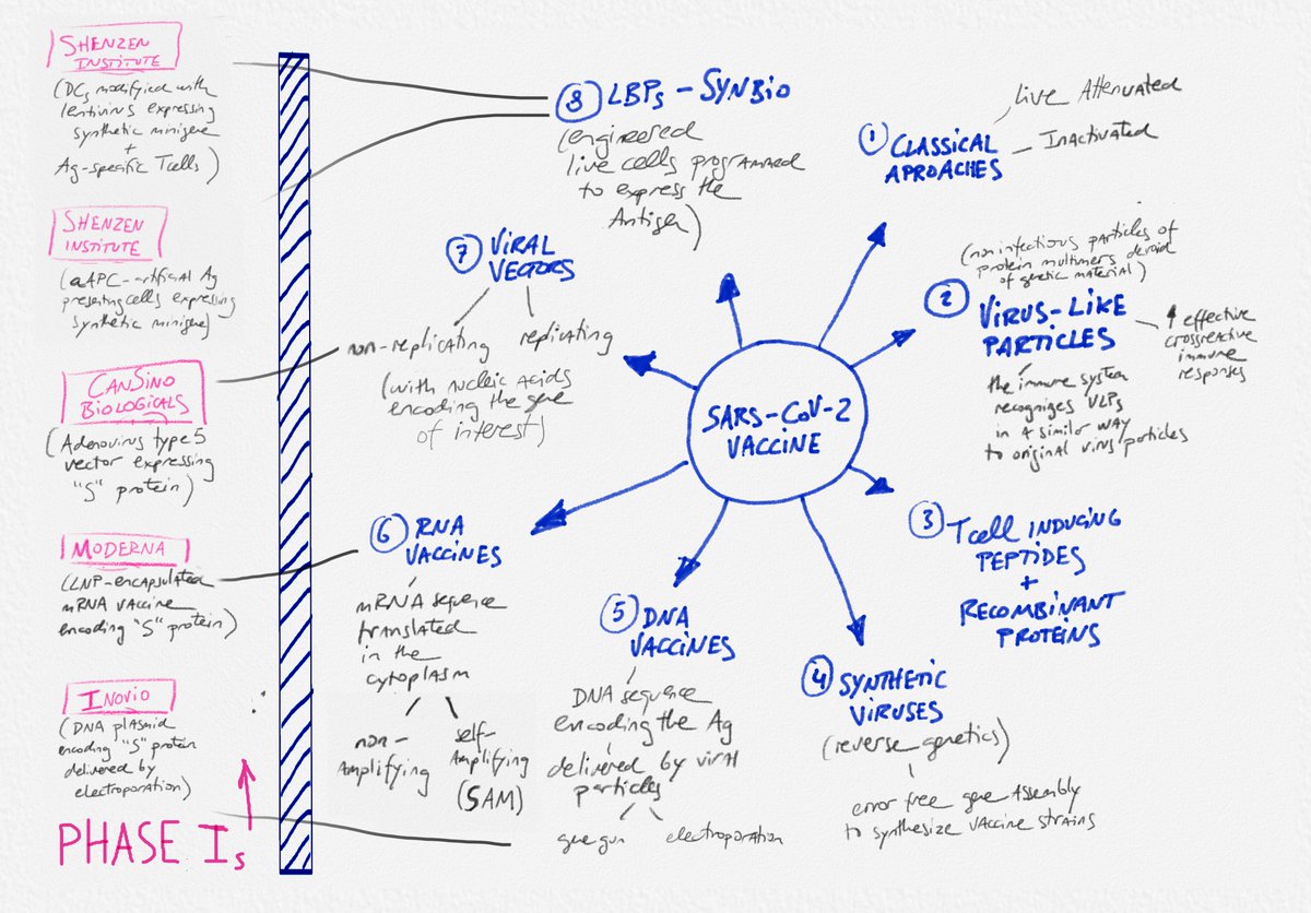 SARS-CoV-2/ The vaccine effort for #COVID19 is unprecedented in scale &amp; speed. To get it right and fast we need new tools and strategies including DNA/RNA vaccines, virus-like particles, T-cell inducing peptides &amp; viral vectors... here's a map of the leading edge #quick_notes_LP