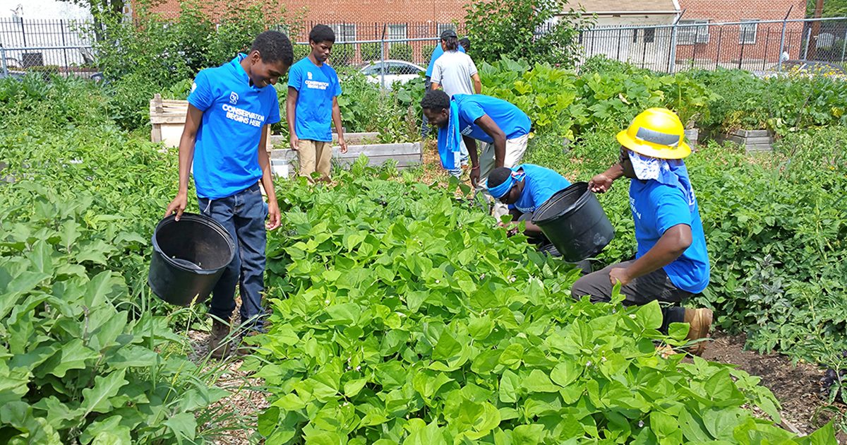 the_sca's tweet photo. Find your inner PEAS! This #EarthDay, build a #garden and connect to conservation. #SCAEarthDay 
This #EarthDay, build a #garden for a healthier planet. #SCAEarthDay 
https://t.co/DNFQmdG7yn https://t.co/E4KWHHMnCb