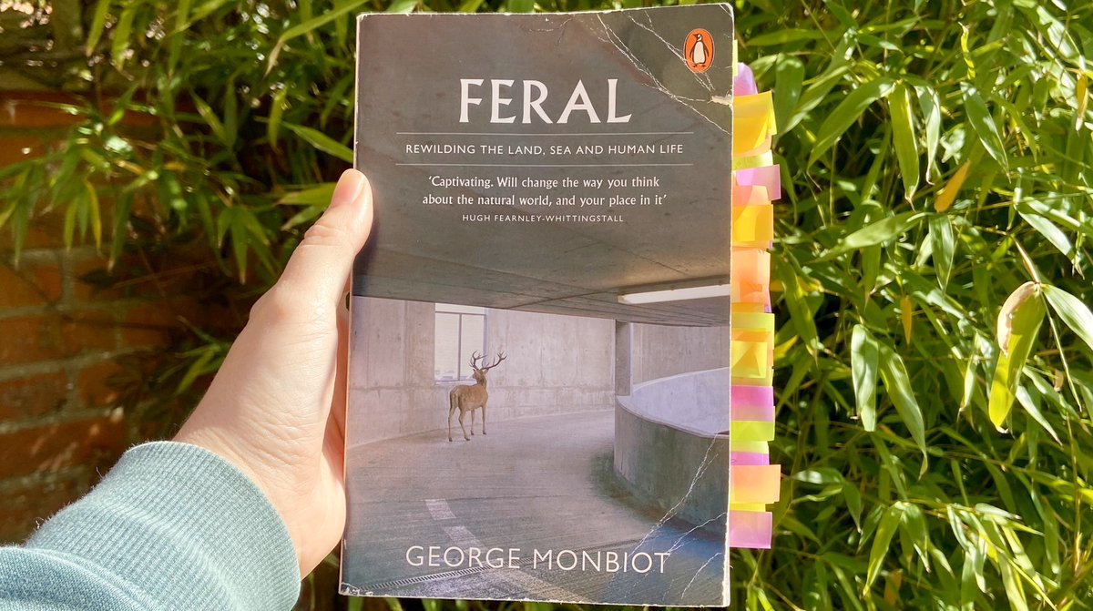 AFONature's tweet photo. With everyone spending more time reading, we’ve decided to share our committee’s favourite nature books. 🌿
First up is @ellendaugherty_, our social media manager, with Feral by @GeorgeMonbiot. 🐺
#QuarantineReadingList https://t.co/yPjareylj8