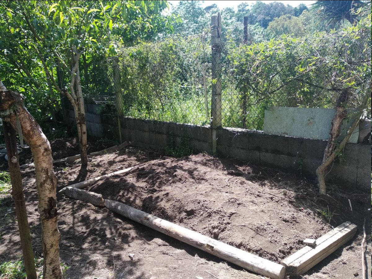 GAMOurense's tweet photo. O Apoio Mutuo xa está a chegar os barrios!!!!!
👏🏿👏🏿👏🏿👏🏿

💪🏿🌱🥬 🙏🏿 A soberanía alimentar será posible se cremos nela e tecemos redes....

💗🙌🏿 Grazas Ximena e Paula polas sementes, as fresas, e as acelgas que van chegando a ista Terra do barrio da Lonia que nos vai medrando... https://t.co/CerifUfzeI