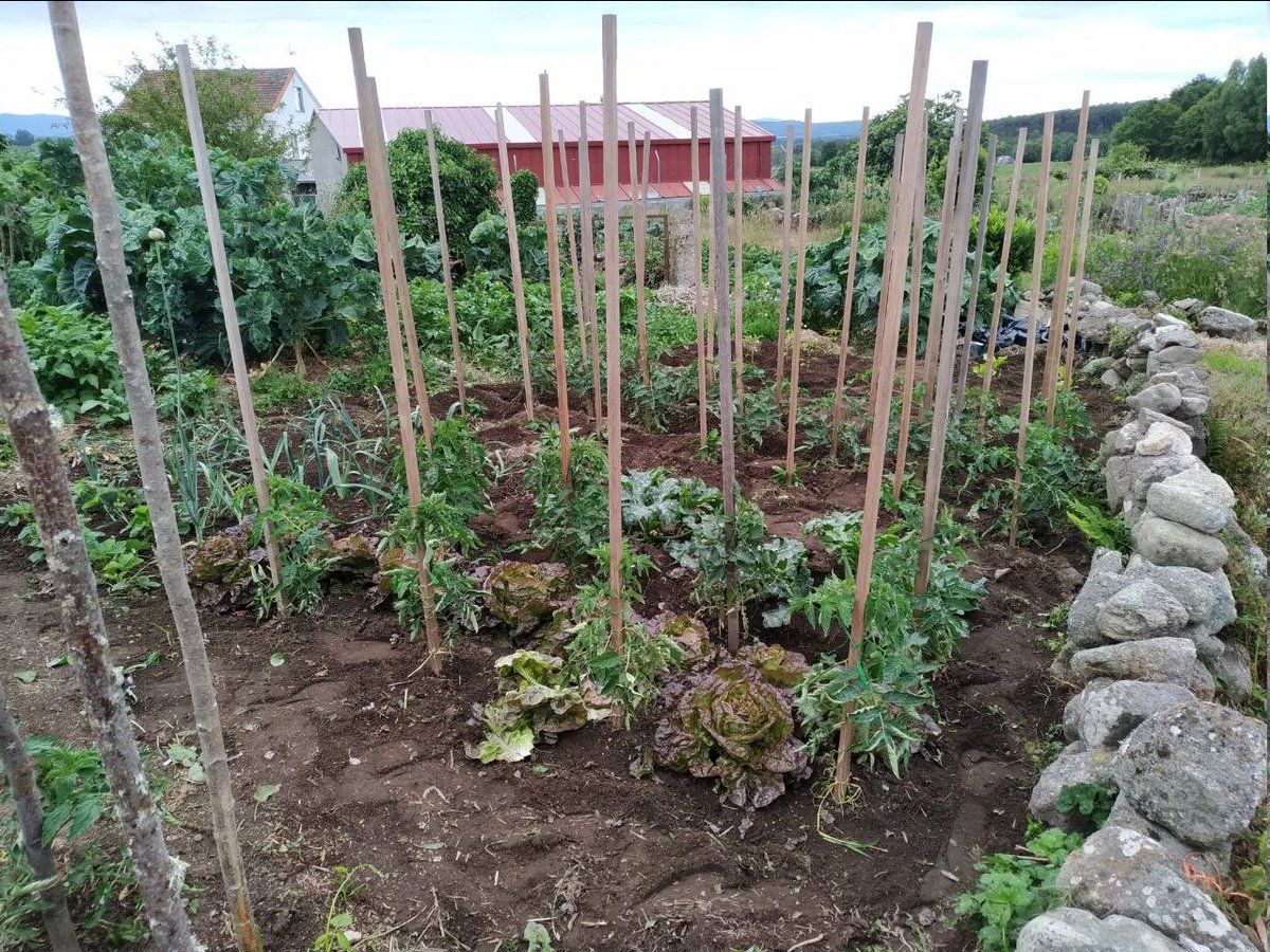 GAMOurense's tweet photo. 🥕🥬👩🏼‍🦰👵🏼Os allos porros veñen da colleita do ano pasado e as cenoiras, pementos e leitugas son das sementes de nai e avoa.
#GAM #Ourense
#GrupoDeApoio
#DeMendeÁLonia
#DeMariñamansaACerdeira
#SoberaníaAlimentar
#PreparandoAVidaQueMereceSerVivida https://t.co/2Rh2uPpZ4J