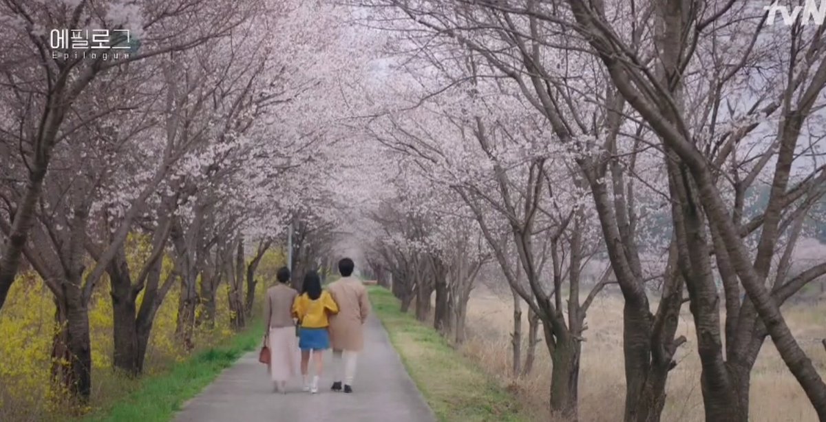 Kdrama_maven's tweet photo. Even though Cha Yu-ri left

Gang Hwa live happily with Min Jeong and Seo Woo and also he is able to overcome his trauma and operate again.

It may not be the happy ending we want but they all had a happy ending as they all live together and happily

#HiByeMama https://t.co/RsCysEPVpk