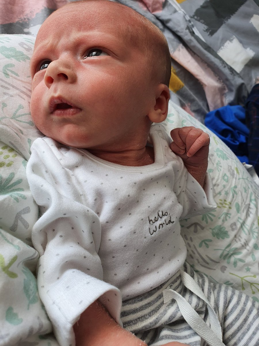 hlambert28's tweet photo. Some good news in all this darkness... we welcomed baby Freddie 3 weeks ago and he is the most wonderful miracle 💙 having a baby in the midst of a pandemic is definitely unforgettable. Thankful to be safe and well xx https://t.co/kRnxrVZQ6m