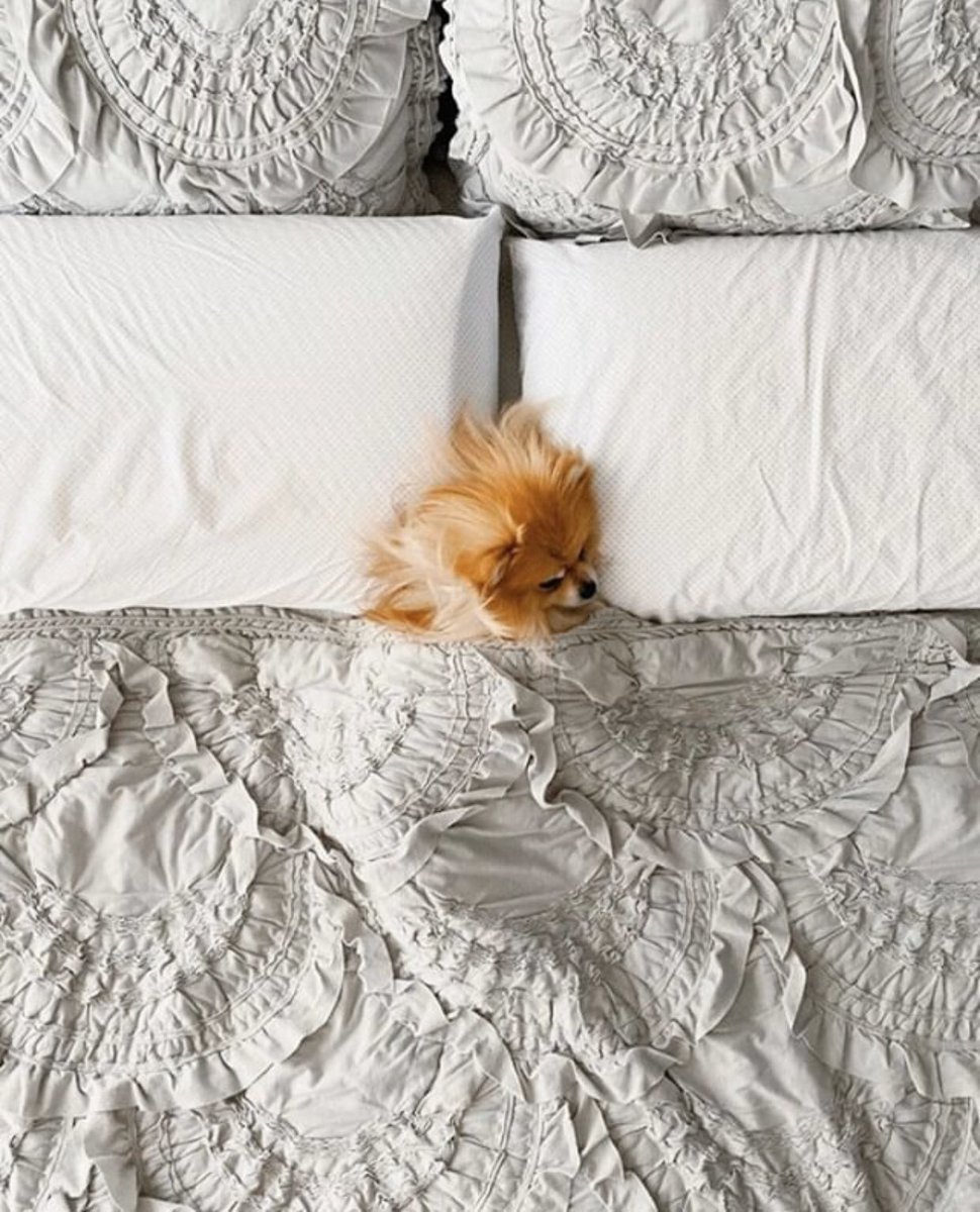 ¿Quién más así?
📷 IG: Youngbutternut