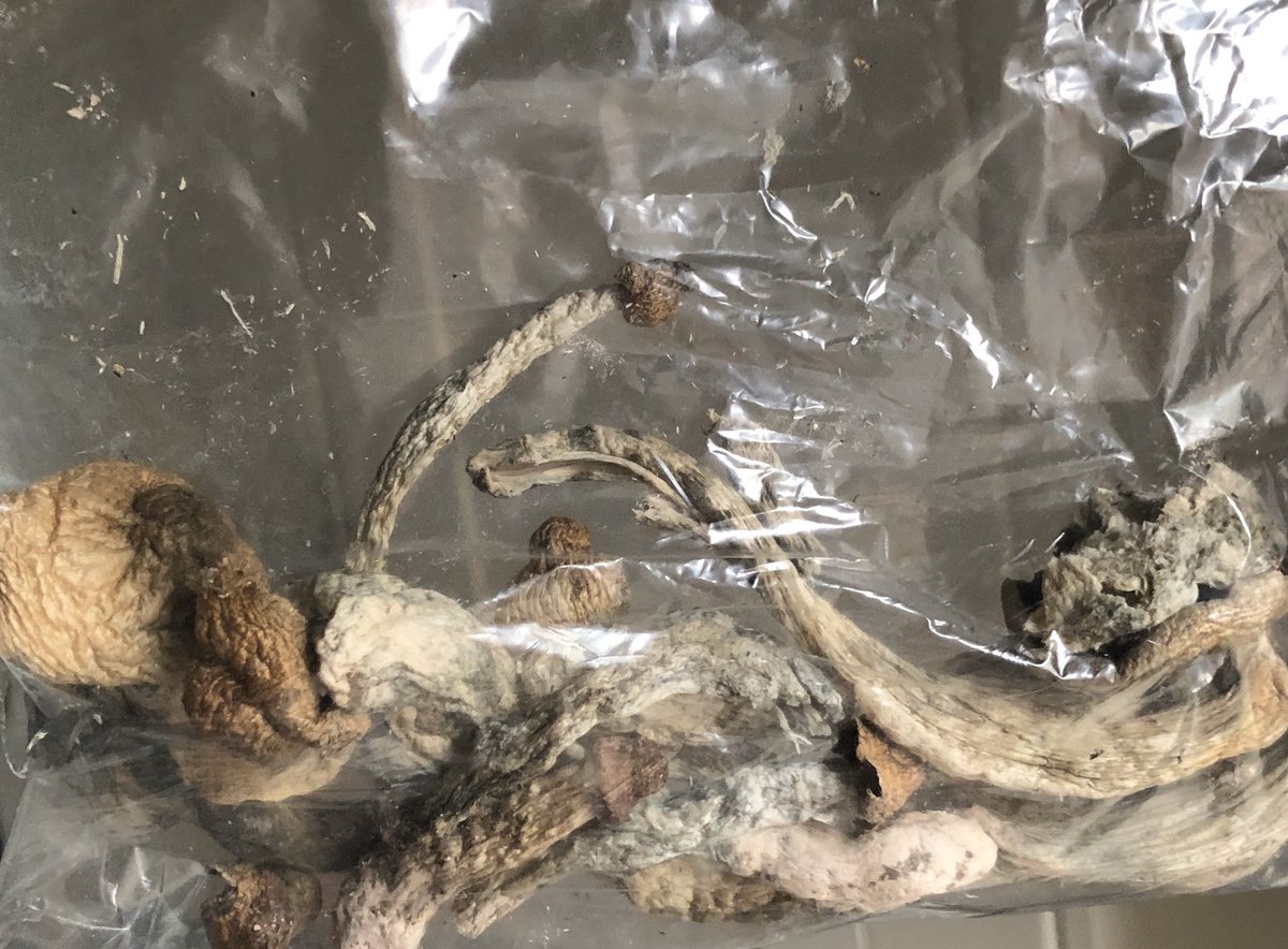 save bueller tweet media