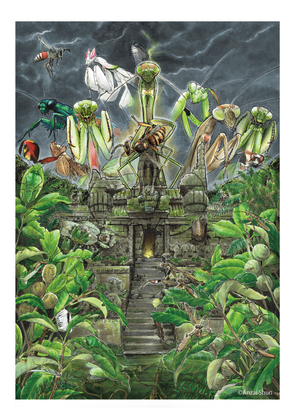 大人のぬりえ：カマキリ】 セブンイレブンのネットプリントに登録しま