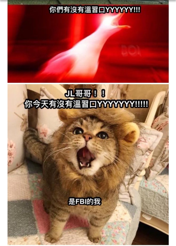 kkgdfungi's tweet photo. 每日一豆 #豆手足
豆豆 #每日關注哥哥姐姐有無溫習
睇得出佢成封mail都好用力咁叫哥哥姐姐溫習ww
又出現power貓啦🤣🤣
加油呀 #DSEr 考好個試呀! https://t.co/XaDw2Ciyan