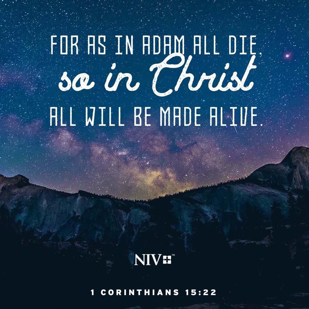 AgyemangAsieduG's tweet photo. For as in Adam all die, so in Christ all will be made alive.

- 1 Corinthians 15:22 @NIVBible 
#NIV #NIVBible #inAdam #alldie #inChrist https://t.co/fqbl6PUCkw