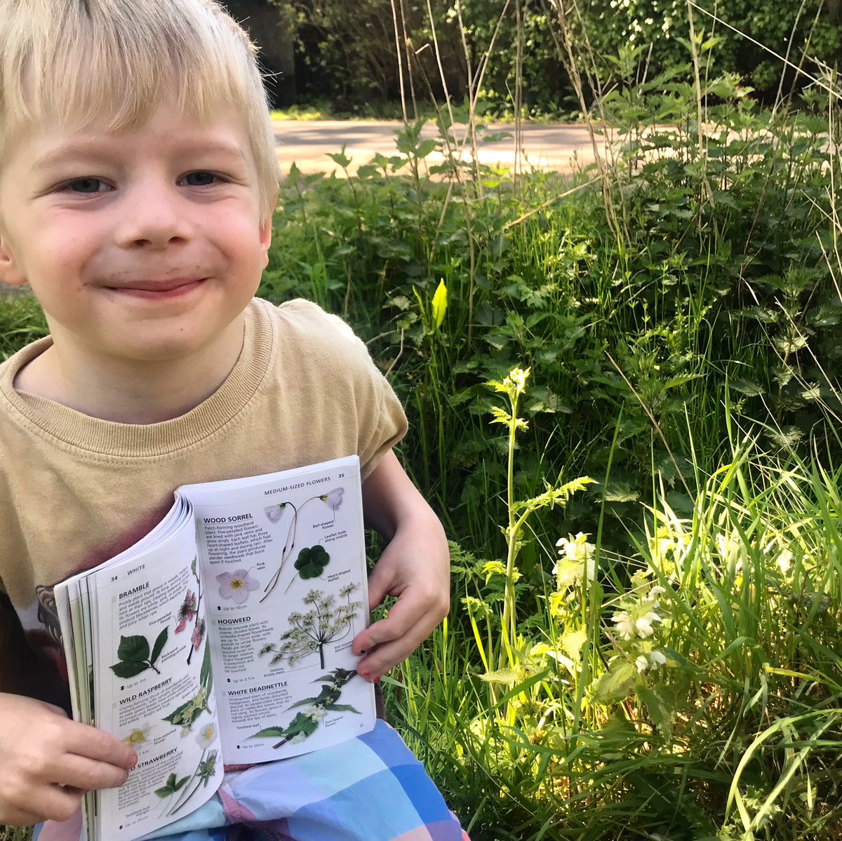 Theo’s using “What’s that flower? From  @dkbooks to identify the 26 wild flowers for our  #TwoPointSixChallenge 1. White Dead Nettle. Did you know it’s stems are square? And it doesn’t sting! Phew.  #wildflowers  #TootingCommon  #BowelCancer  #Fundraising  @bowelcanceruk