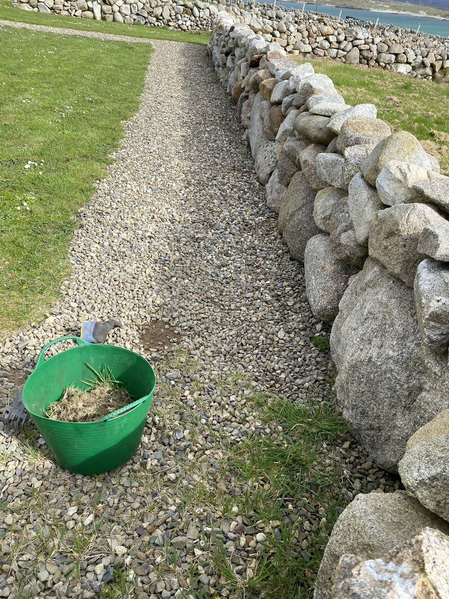AnnHigginson64's tweet photo. Covid-19 Lockdown jobs #coronavirusgoaway #weeding #pathway #gardening #meditation #gettingjobsdone #connemara #countingonesblessings https://t.co/htHivDp6mH