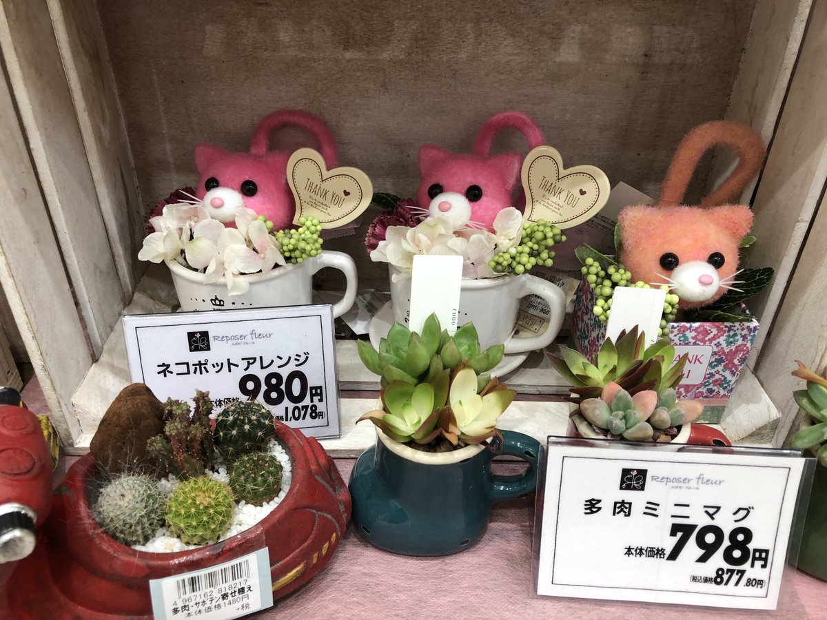 友梛 ゆうな イオンスタイル店内にある ルポゼ フルール イオンが展開する花屋さんです お洒落な色合いの花の他に 雑貨がかわいい 母の日の頃は わんこの花があったなぁ と思ってみると にゃんこの花まで お手軽価格で かわいい造花の