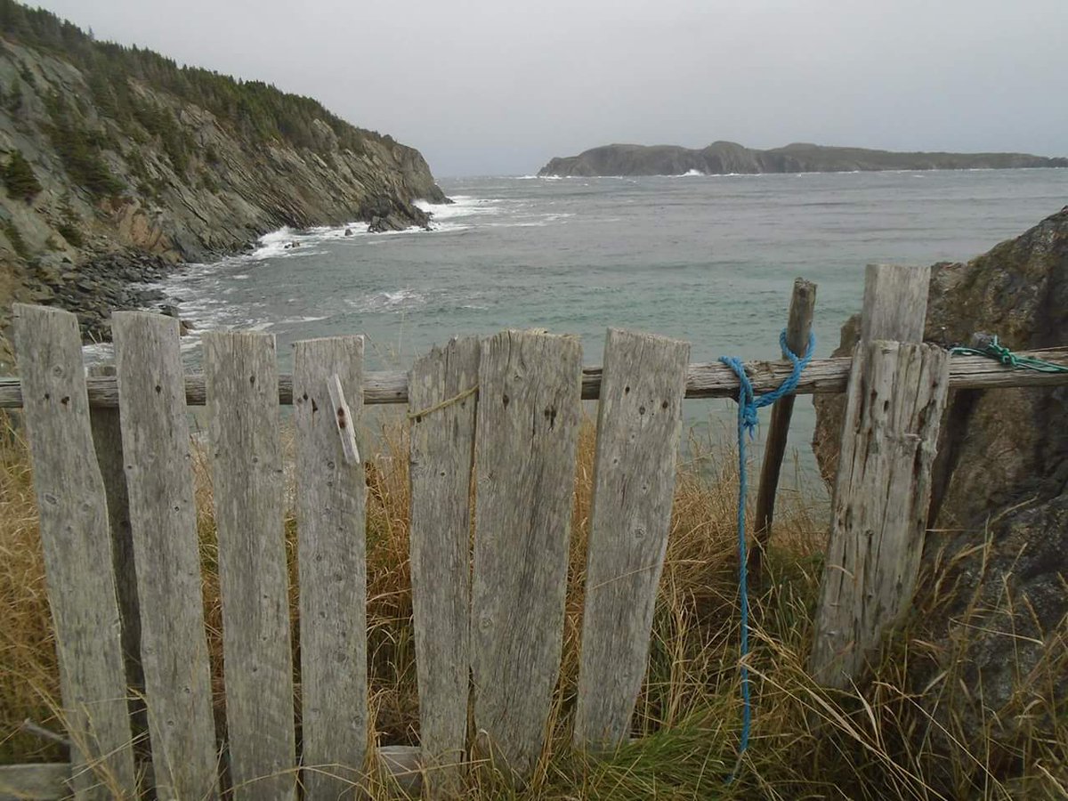 jojorobo58_jojo's tweet photo. Summer time, the Bald Eagles nest on that cliff. #BackCove #Twillingate https://t.co/Vl3cmDvIJE