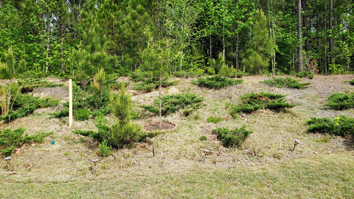 kalvetu's tweet image. வீட்டின் பின்பகுதியில் (backyard) சரிவான பகுதி (slope) உண்டு. அதில் சில வேலைகளைச் செய்ய வேண்டுமென்பது 5 வருடங்களுக்கும் மேலான திட்டம். பணம்&amp;amp; நேரமின்மையால் தள்ளிப்போய்க்கொண்டே இருந்தது.
#BackyardProject 
#2020_Initiative 

1/